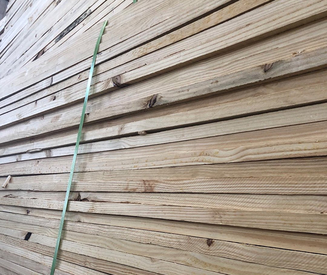 梅河口巴西松